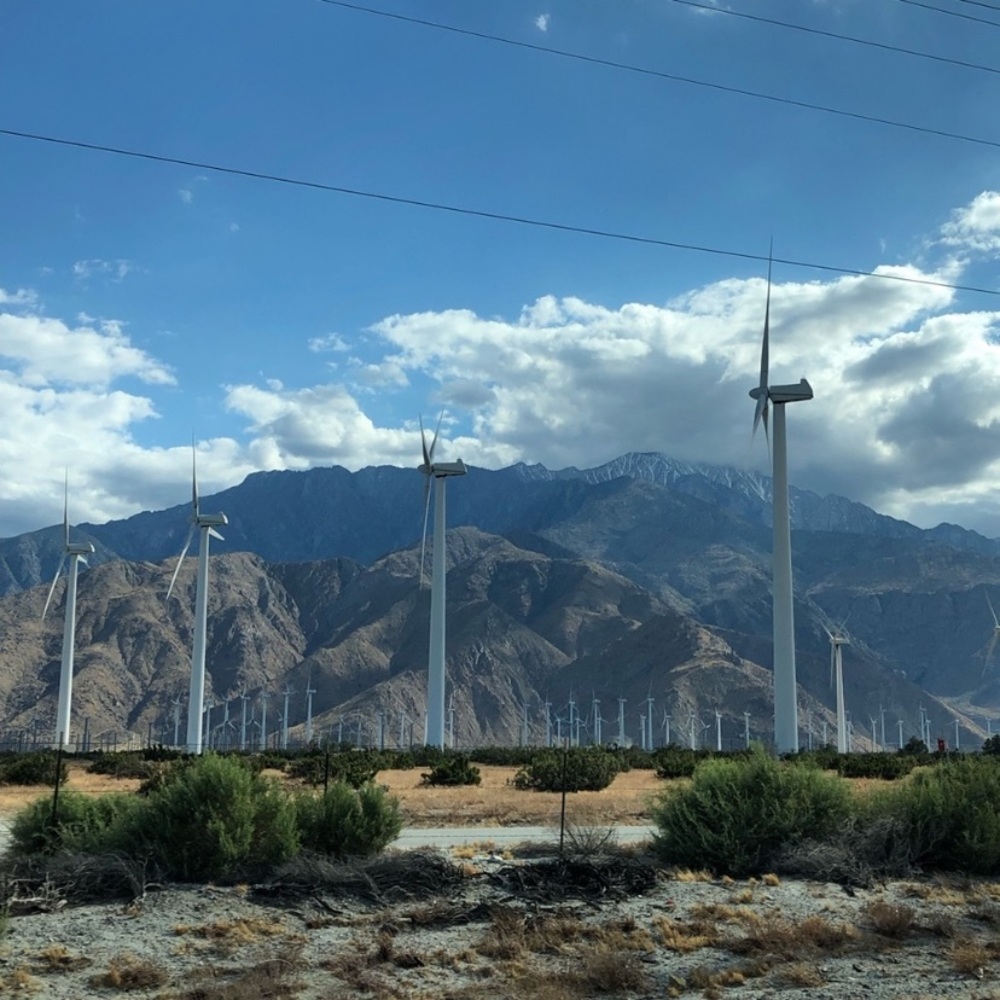 Welcome - Picture 10 of 14